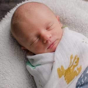 Meet your Posher, Nik